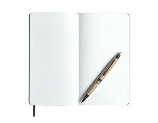 Gold Pen on Open Notebook Pages.