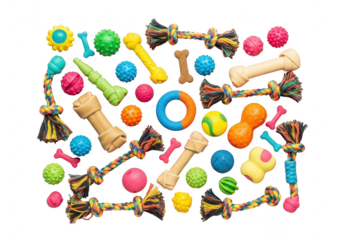 A collection of colorful dog toys on a transparent background for pets to play