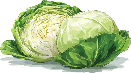 Cabbage Cartoon Style Vector Illustration for Creative Projects