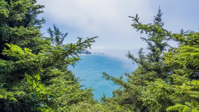 A beautiful, high-angle view of the Pacific Ocean as seen from the Cape Meares Beach Trail in Coastal Oregon, framed by lush green evergreen trees. The blue water meets the horizon under a partly clou