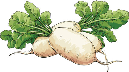 Vibrant Daikon Radish Cartoon Style Vector Illustration for Design Projects
