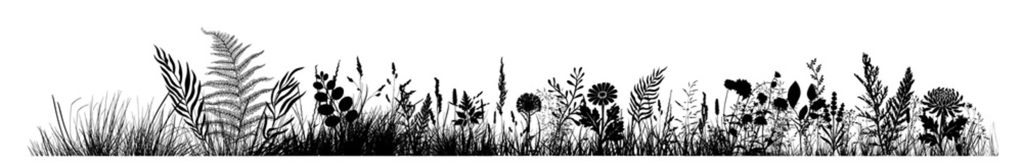 Obraz premium Silhouette of grass horizon. Border, meadow springtime, Hand drawn. Not AI, vector illustration