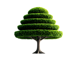 Trimmed Tree with Layered Green Foliage.