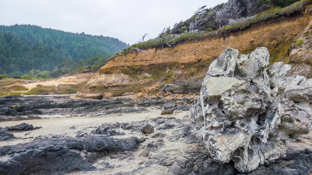 Footage capturing the dramatic and rugged coastline of Cape Perpetua, part of the Siuslaw National Forest in Oregon. The scene features a large, weathered piece of driftwood in the foreground, dark vo