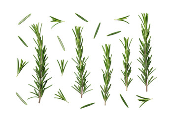 Naklejka premium Deep green rosemary sprigs and individual leaves artfully scattered on a pristine transparent background with copy space, soft shadows, sharp focus, flat lay product photography. Concept of freshness
