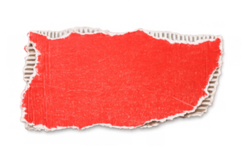 Torn red cardboard piece showing corrugated edge and rustic texture. Empty paper scrap with transparent background