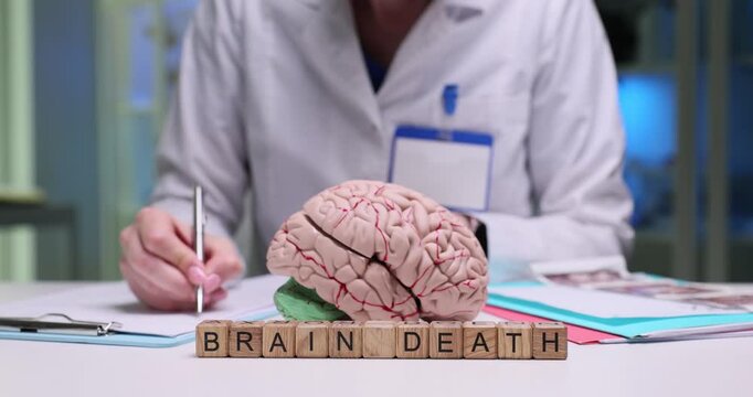 Woman doctor determines brain death and documents findings in document. Wooden cubes form phrase Brain Death clearly indicating medical conclusion