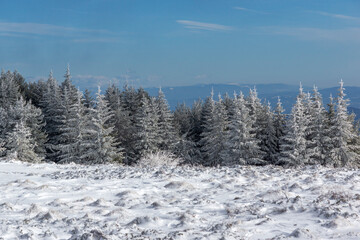 Obraz premium Landscape of Vitosha Mountain, Bulgaria
