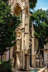 The photograph shows a coniferous evergreen larch tree, which is located in a city park near a beautiful old building with carved columns and light beige architectural elements.