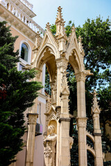 The photograph shows a coniferous evergreen larch plant, which is located in a city park near a fence and a light beige building.
