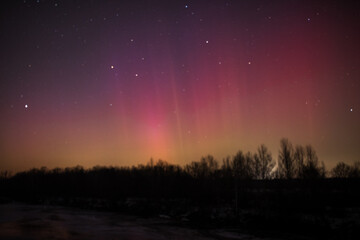 Fototapeta premium Aurora borealis in the night in Poland. Night sky with stars, clouds and Aurora Borealis.