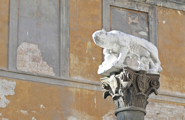 Naklejka premium The Lupa Senese (wolf of Siena) symbol of the city, with the small Senius, founder of Siena, on an ornate dark column against weathered wall with flaked paint in Tuscany, Italy