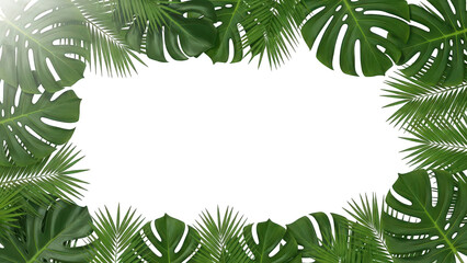 Tropical palm leaves frame with copy space, isolated transparent green border