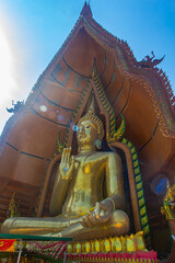 big golden buddha in thailand
