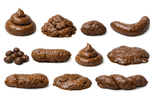 Feces collection set showing various forms of human excrement for health, nature, and pet waste concepts on transparent background