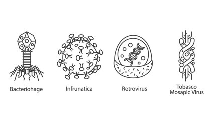 Fototapeta premium Bacteriophage Infulmatica Retrovirus Tobacco Mosaic Virus Illustrations.