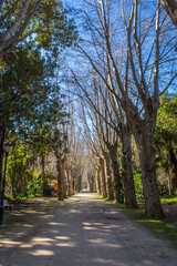 Obraz premium Algiers - Algeria, February 22, 2016: Botanical garden El-Hamma, jardin d'essai, One of the largest and most beautiful gardens in the world, Fountain and palm trees in Botanical garden El-Hamma.