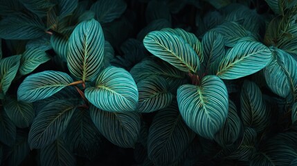 beautiful green leaves of some plants