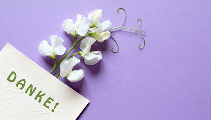 White sweet pea flowers with a card reading "DANKE!" meaning "THANK YOU!" in German on a purple background