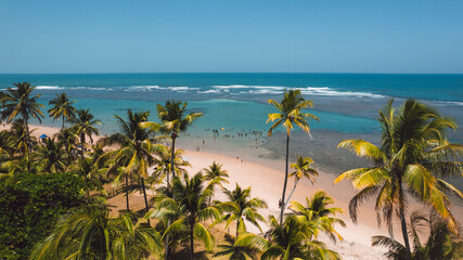 Fototapeta premium Natural pools in the sea off Taipu de Fora beach, a tourist spot on the Maraú Peninsula, coast of Bahia, Brazil, panoramic aerial view, coconut trees, blue and green sea, paradisiacal