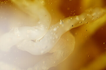 Macro bubbles of hot cooking oil when frying