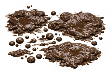Mud splashes and wet dirt droplets, brown murky puddles of earth, messy liquid texture with transparent background