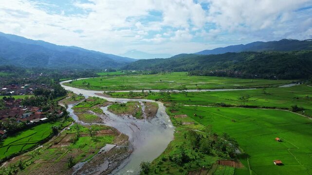Aerial drone footage of a wide main river, with green lush rice field valley in patterns, in Bentar village area, Salem county, Brebes regency, Java island, Indonesia, with mountains behind