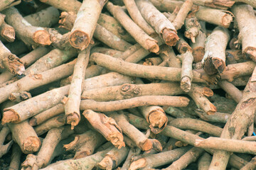 A pile of wood logs on floor