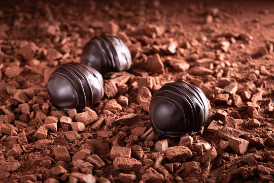 Tasty chocolate praline made of chocolate and springles.