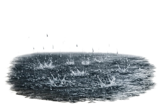 Raindrops falling into a shallow puddle, creating splashes and ripples on the liquid surface with visible crown formations. Transparent background