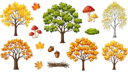 Colorful trees and mushrooms in autumn season showing various shapes and elements from nature