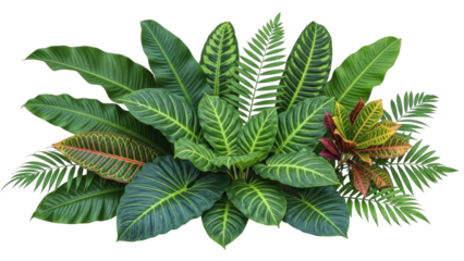 Bright green leaves arranged in a vibrant display showing different plant types and colors on a white background