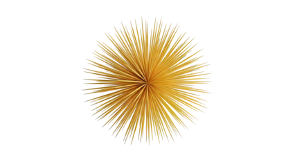 Golden Starburst Abstract Object