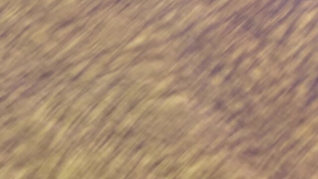 Itanhaem River At Itanhaem In Sao Paulo Brazil. Dark River. Watercolor Landscape. Wildlife Travel. Itanhaem River At Itanhaem In Sao Paulo Brazil. Nature Scenery.