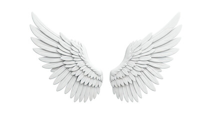 Obraz premium Pair of White Angel Wings