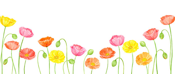 水彩で描いたカラフルなポピーのフレーム