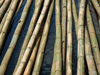Raw bamboo stalks soaking in dark water, showing natural green and brown textures with sunlight reflecting off the surface. This soaking process makes the bamboo stronger and more durable.