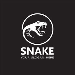 illustration of white snake head isolated on black background
