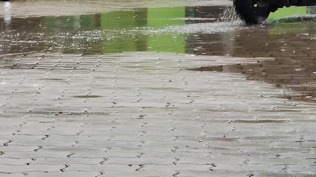 Motorbike passing on wet brick pavement, rainy commute footage. Scooter wheel crossing puddles after rain, urban street video. Rainy walkway with motorcycle motion, water reflection scene clip.