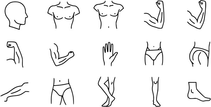 Human Anatomy Outline Icons Set