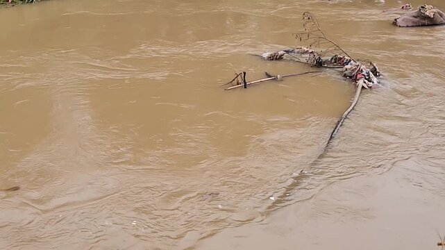 Flood debris line across muddy flow, disaster aftermath background. Drifting refuse caught on long pipe in swollen river current. Brownwater surge carrying waste downstream, environmental warning.
