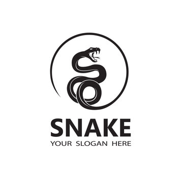 illustration of black snake isolated on white background