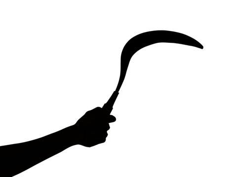 Silhouette of a hand holding a sharp traditional sickle or celurit in a striking position isolated white background, representing a violent crime, robbery, physical threat,killer, criminal intent