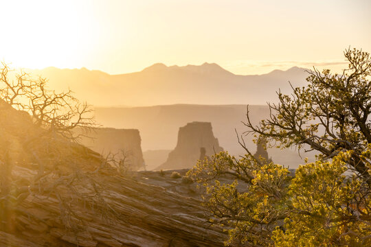 Sunrise over a canyon desert