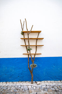 wooden shelves and tree decoration