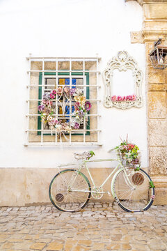 bicycle in the street