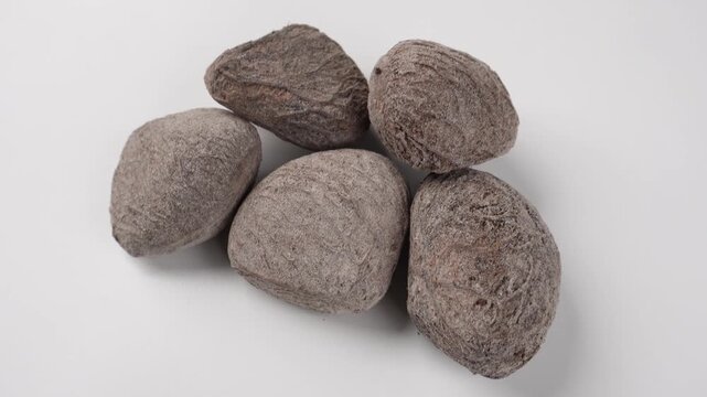 Handheld Close Up Shot of Kluwak Isolated on White