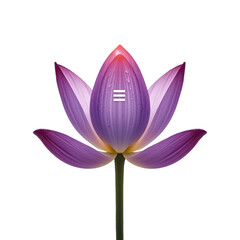 A vibrant pink and purple lotus flower with delicate petals and a slender green stem on transparent background