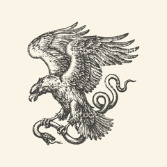 Vintage Engraving Style Illustration of a Majestic Eagle Fighting a Serpent Snake, Hand Drawn Ink Sketch for Tattoo and Logo Design © Retro Archive id