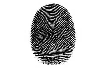 Fingerprint providing unique biometric identity, security, access control, and privacy protection on transparent background